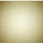 Hoffman Supernova Panel - Fools Gold