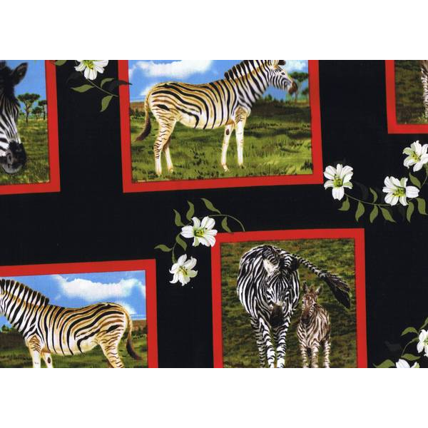 Zebra - Postcards